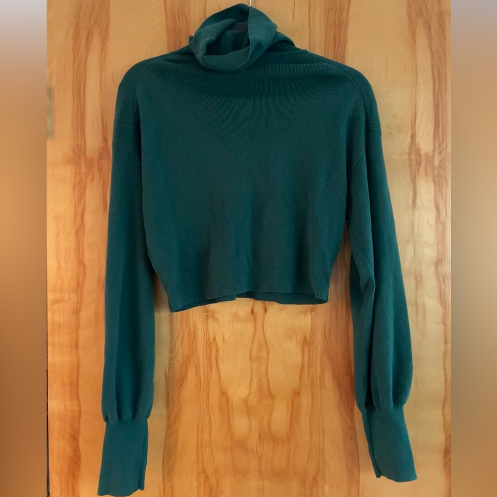 Aritzia Wilfred cropped long sleeve turtleneck